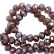 Top Facet kralen 3x2mm disc Ginger brown-pearl shine coating